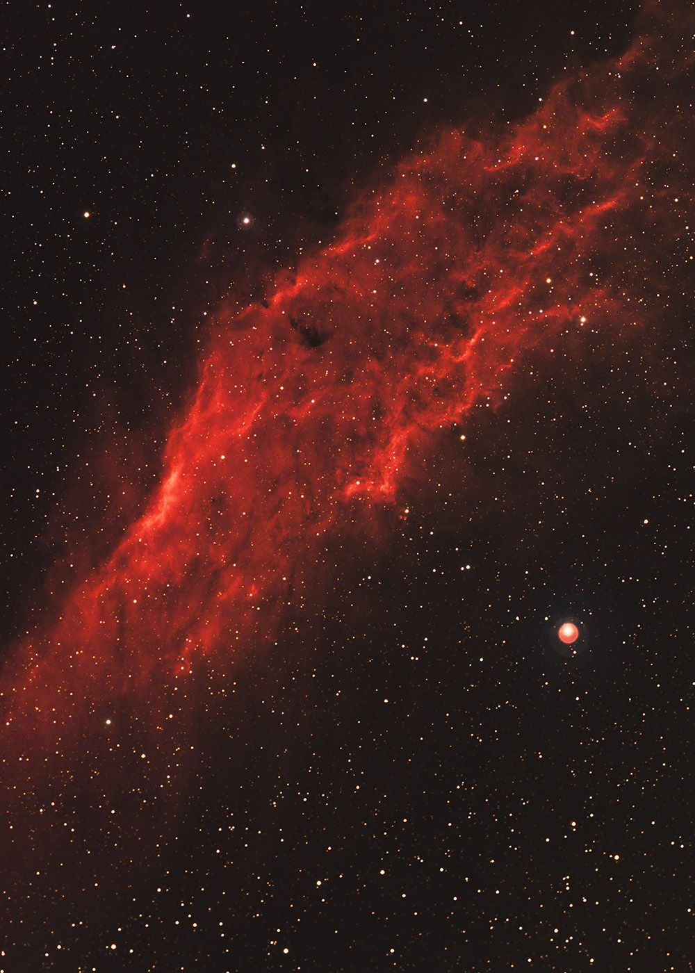 thumb_1516569556_ngc1499_1000.jpg